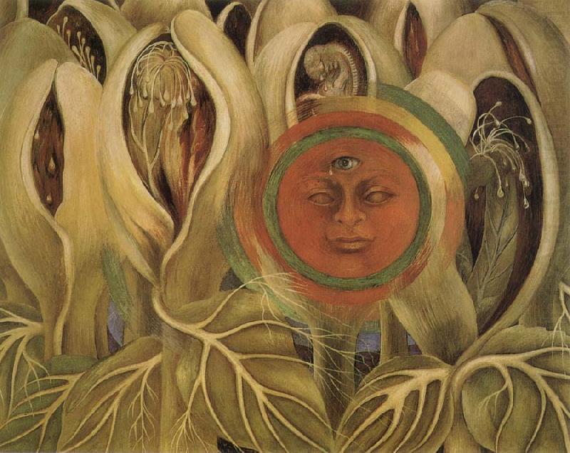 Sun and life, Frida Kahlo